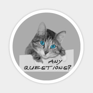 Any Questions? Cute Blue Eyes Cat Magnet